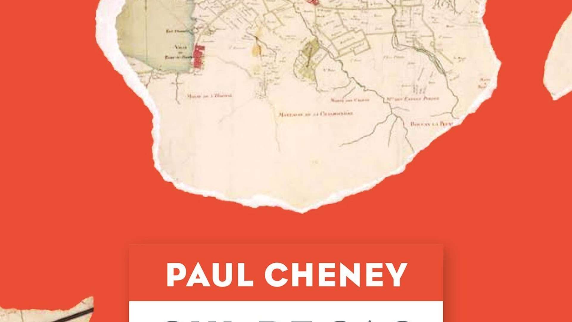 CuldeSac. Une plantation coloniale à SaintDomingue au XVIIIe siècle
