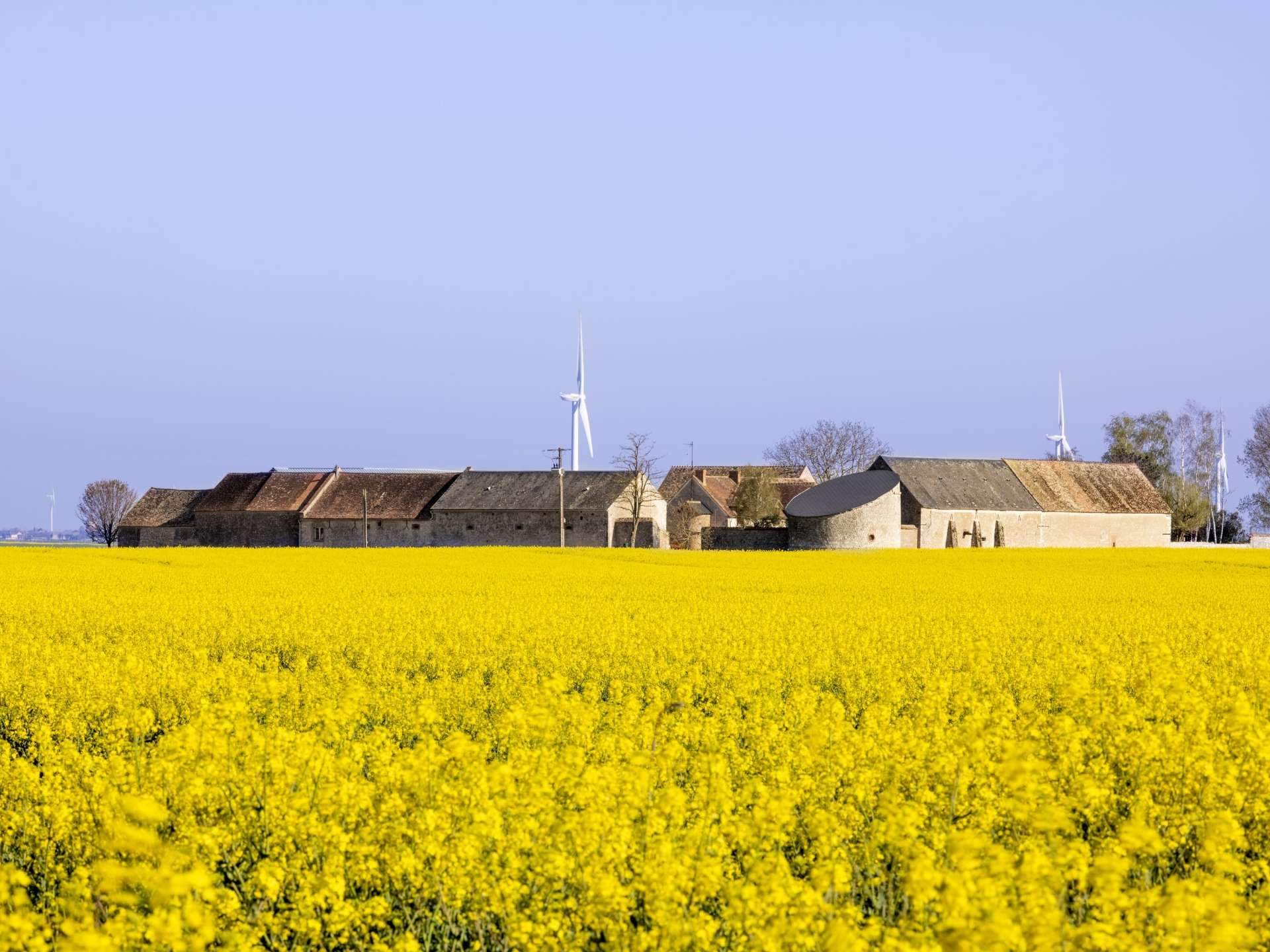 Une ferme en Beauce en avril.
