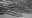 Détail d'une photographie du marche? aux oiseaux, place Louis Le?pine et quai de Corse sur l'Ile de la Cite? a? Paris, photographie de presse Agence Rol, années 1910.