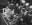 Procès de Nuremberg (De gauche à droite) Premier rang : Göring, Hess, Ribbentrop, Keitel ; Second rang : Dönitz, Raeder, Schirach, Sauckel.